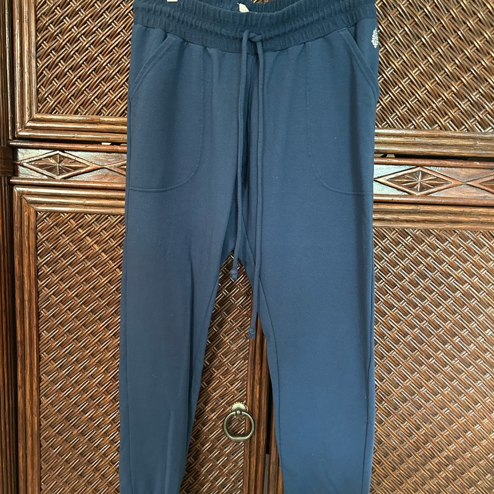 Free People Movement Royal Blue sweatpants.